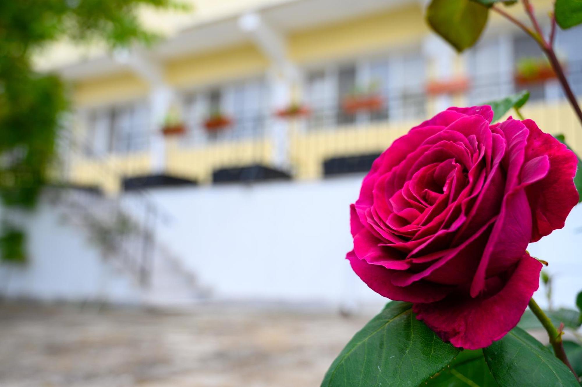 Effect Saint Mina Sozopol Exterior foto